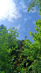 Kiskunmajsa