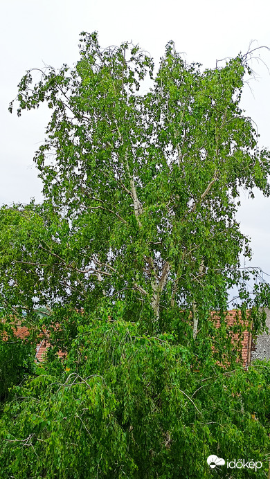 Kiskunmajsa