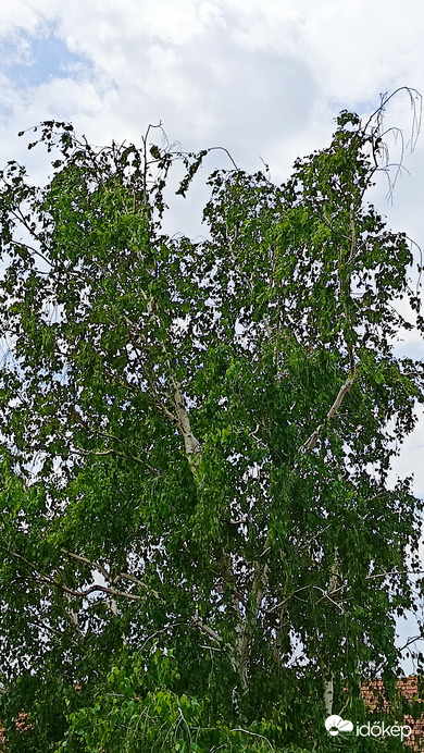 Kiskunmajsa