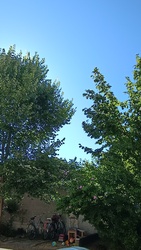 Kiskunmajsa