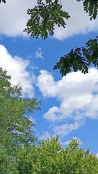 Kiskunmajsa