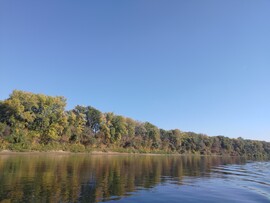 Tiszavárkony