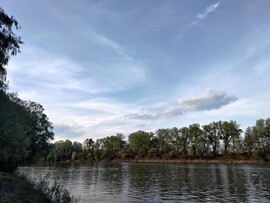 Tiszavárkony