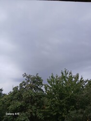 Tamási