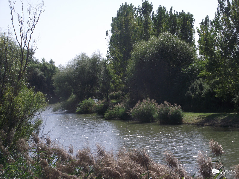 Délben,napsütésben