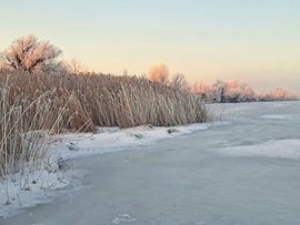 Fagyos, ködös napkelte