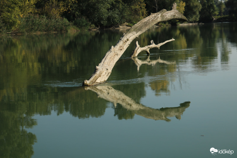 Ismeretlen állatok a Szigetközben