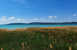 holcsekszilvi fotója