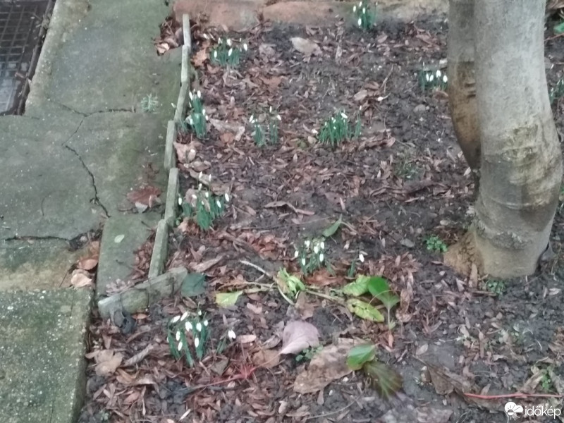 Budapest XII.ker - Krisztinaváros