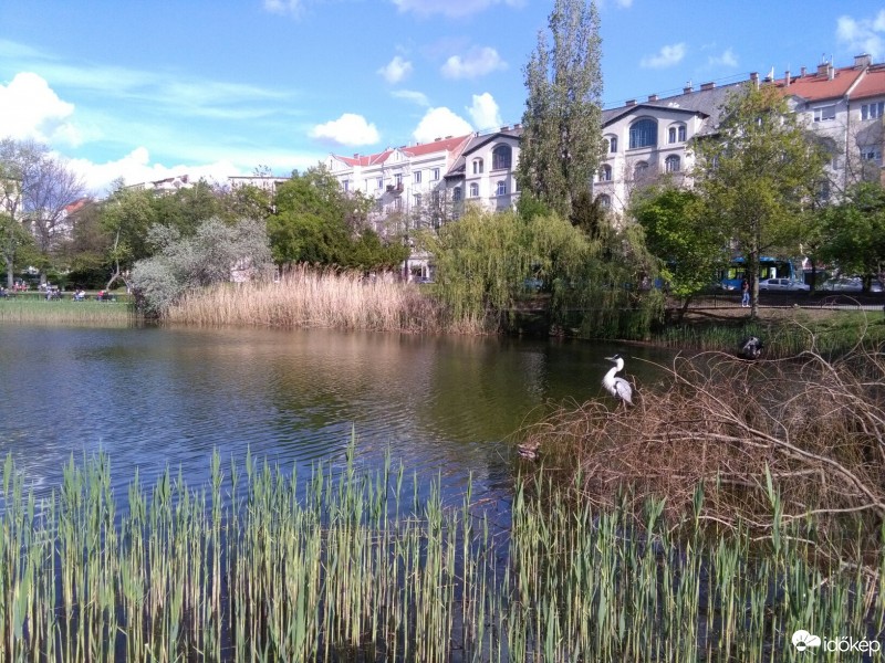 Budapest XI.ker - BME