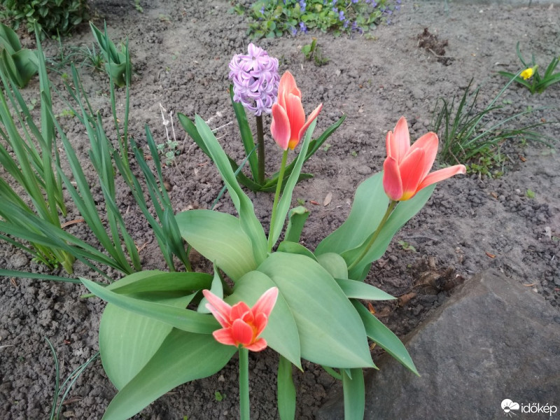 Budapest XII.ker - Krisztinaváros