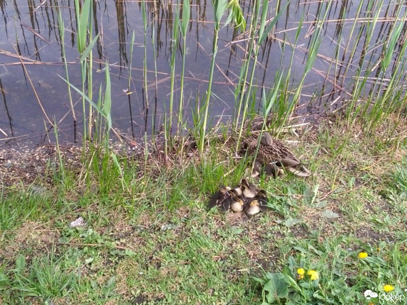 Budapest I.ker - Tabán