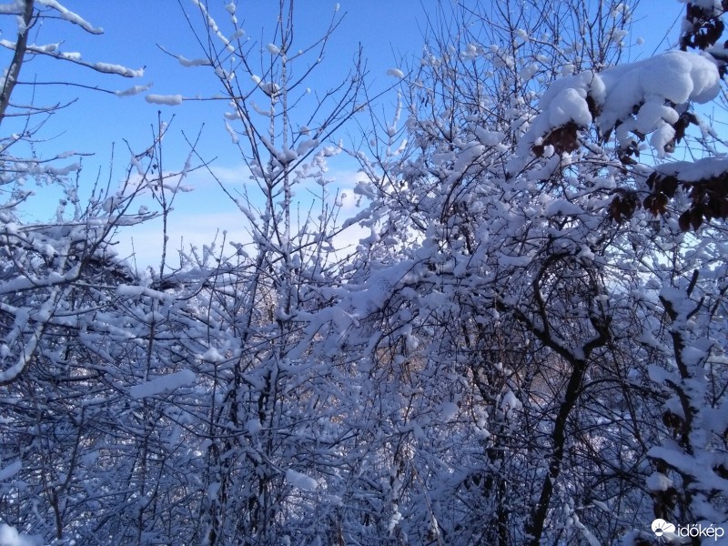 Budapest XII.ker - Krisztinaváros