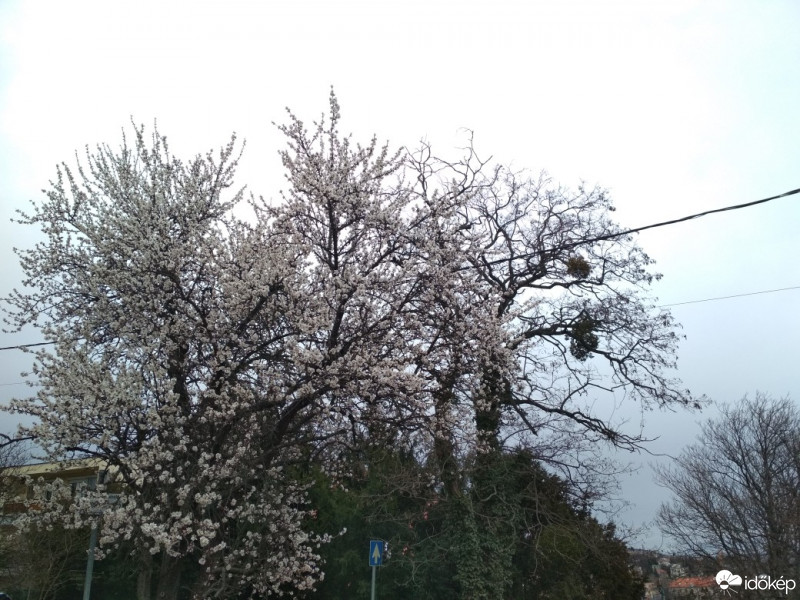 Budapest XII.ker - Németvölgy