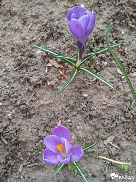 Budapest XII.ker - Krisztinaváros