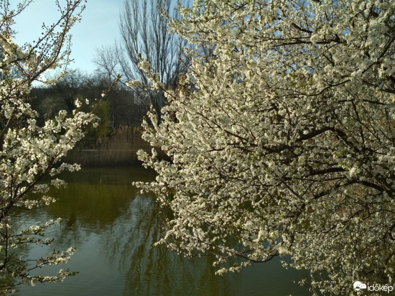 Budapest XI.ker - BME