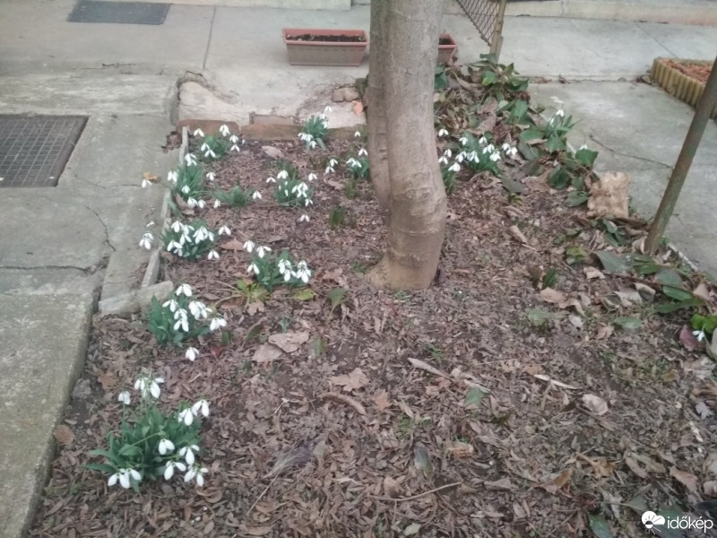 Budapest XII.ker - Krisztinaváros