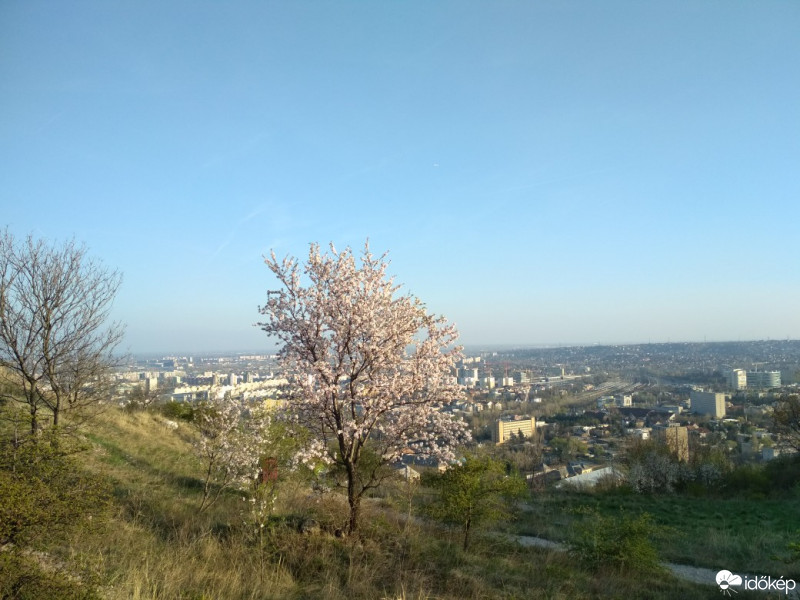 Budapest XII.ker - Sas-hegy