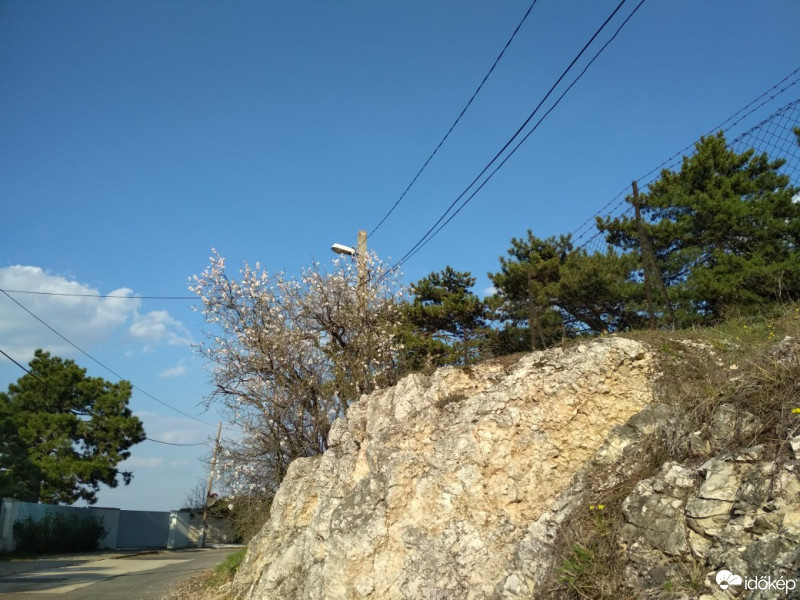 Budapest XII.ker - Sas-hegy