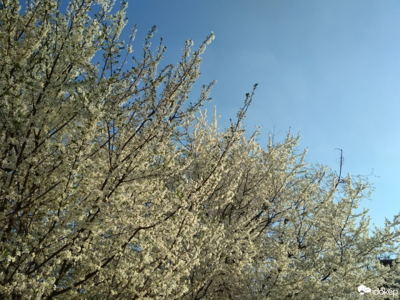 Budapest XI.ker - Kelenföld