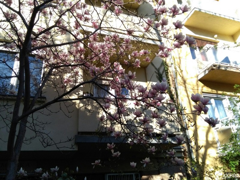 Budapest XII.ker - Krisztinaváros