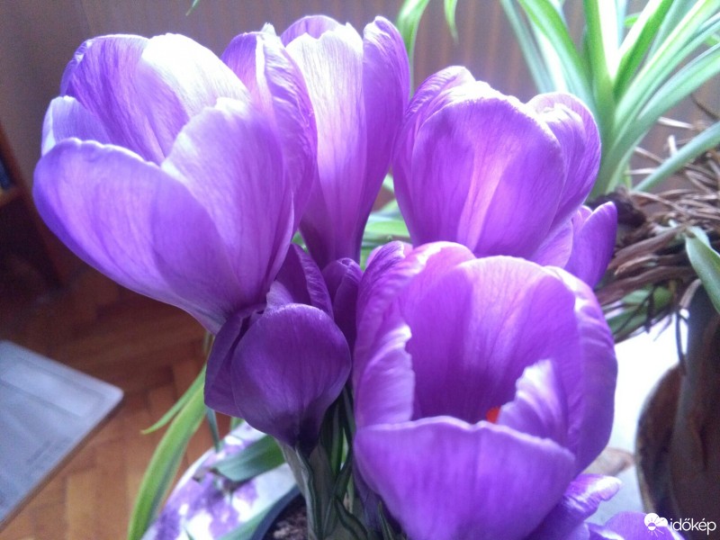 Budapest XII.ker - Krisztinaváros