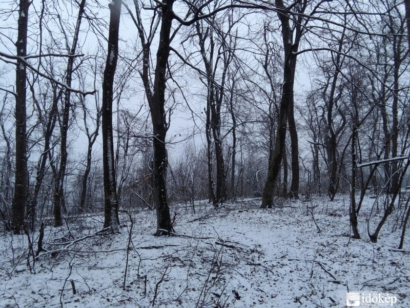 Budapest XII.ker - Normafa