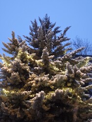 Budapest XII.ker - Németvölgy