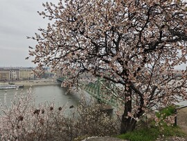 Budapest XI.ker - BME
