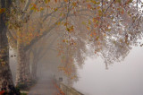Ködben a Duna-part