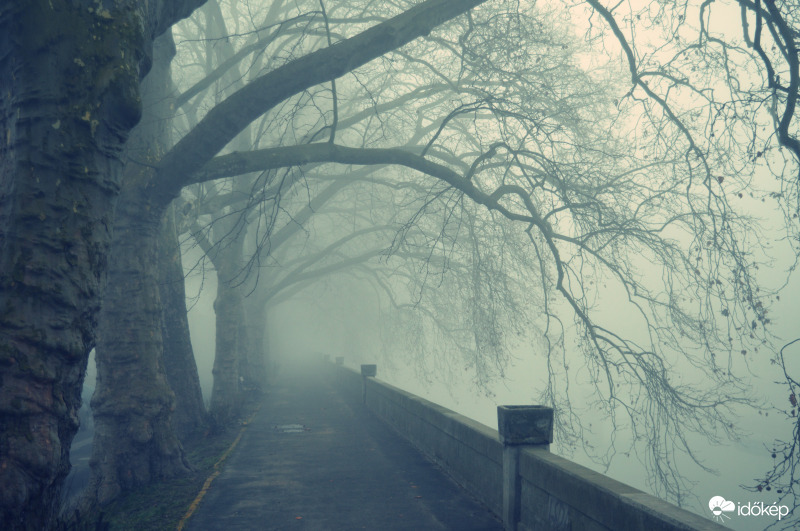 Sétány a ködben