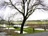 Kis-Balaton Récéskuti Bazilika