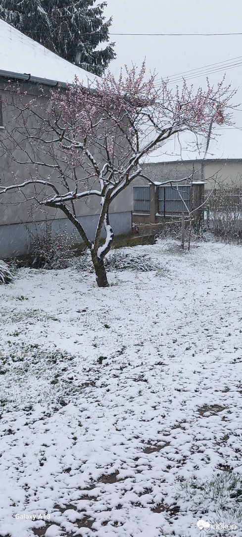 Már ennyi hó esett...