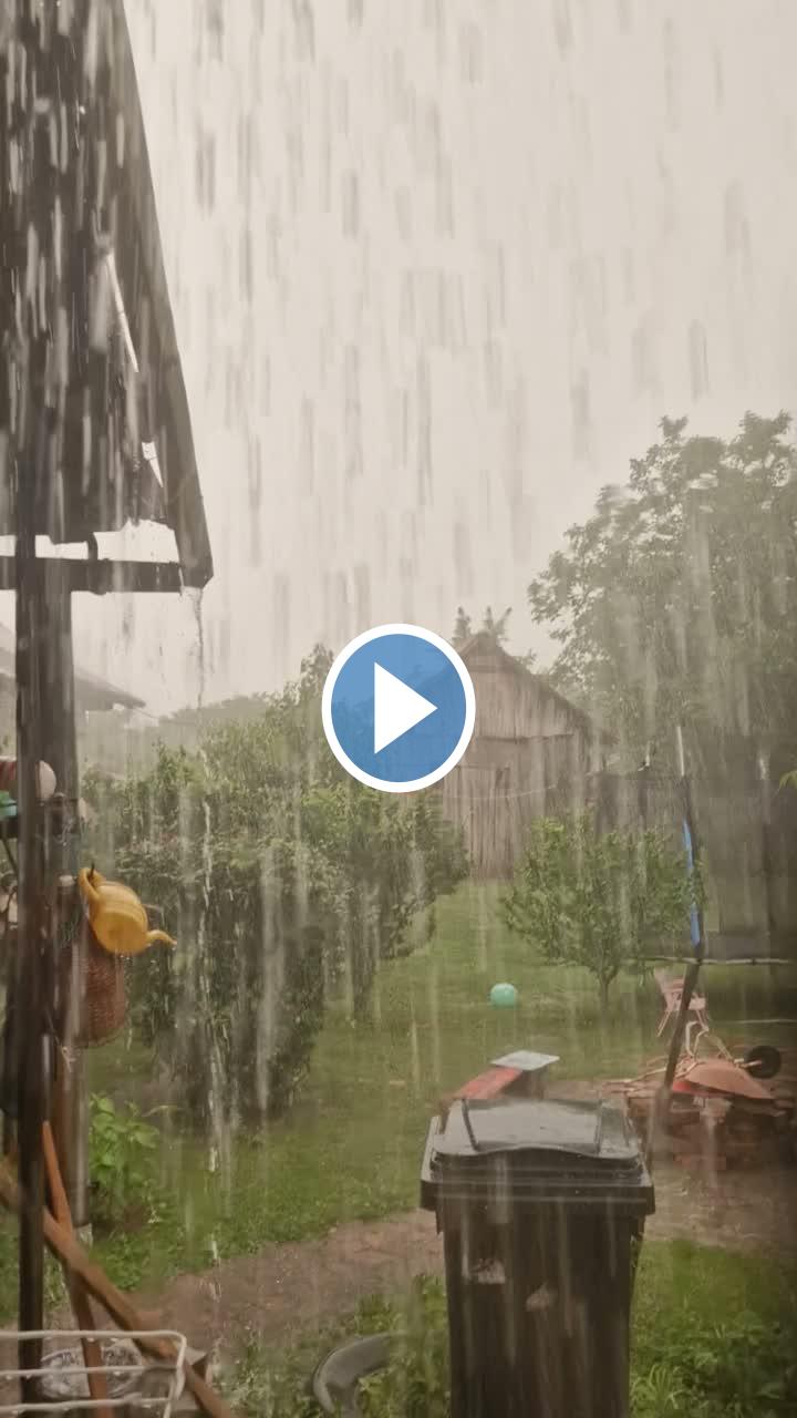 Videók és filmek