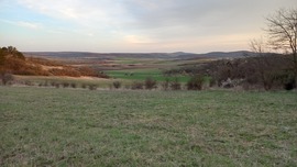 Zöldben