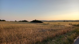 Naplemente - Aszófő