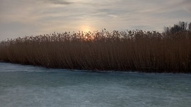 Télen a jégen, a nád mögött