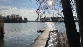 Csillogós