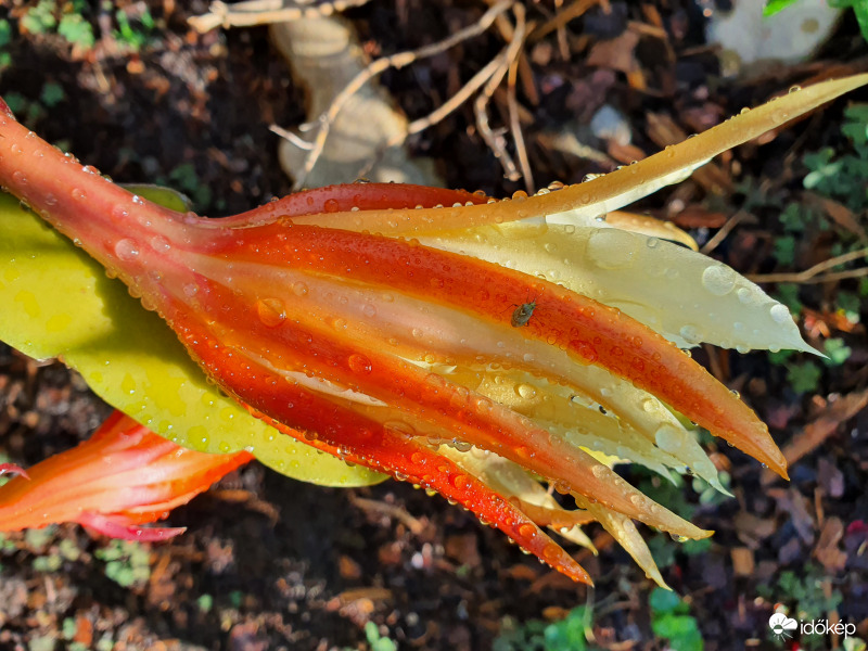 Közös szárítkozás...