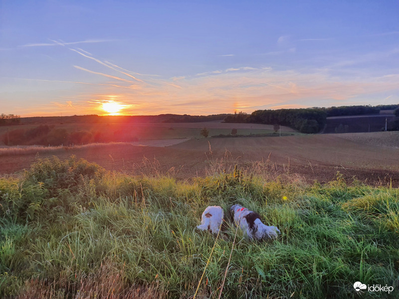 Göcseji melléknapos naplemente pockot kereső kutyákkal :)
