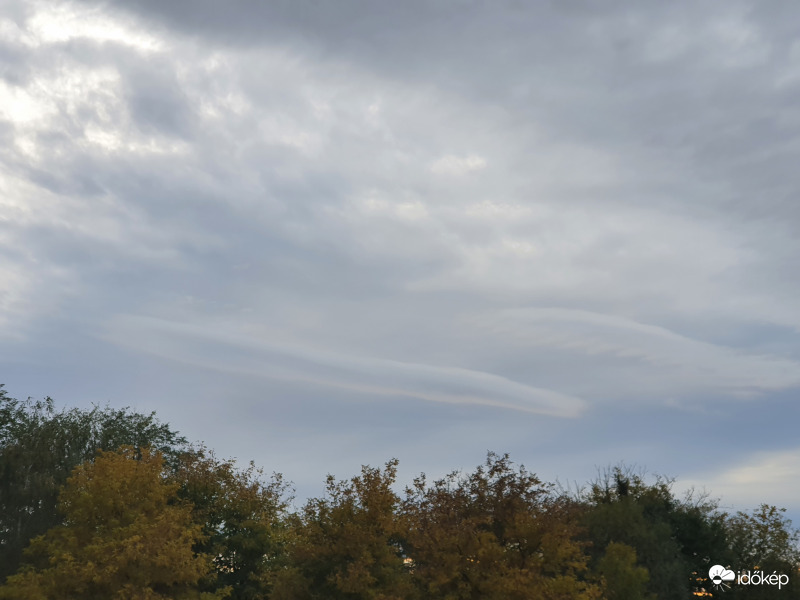 Fura felhő a fák felett...