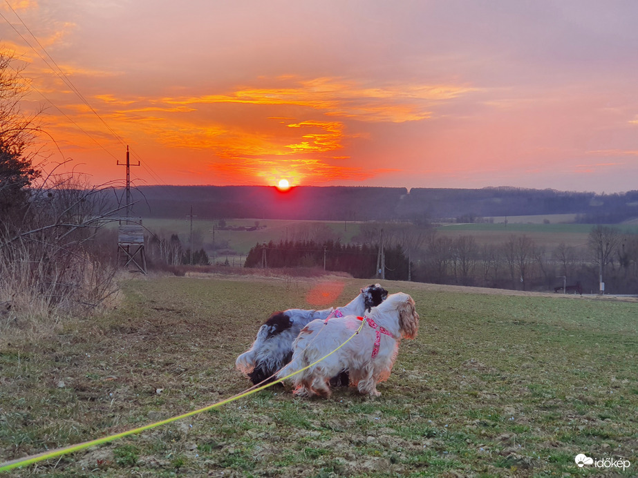 Díszőrség a napnyugtához ❤