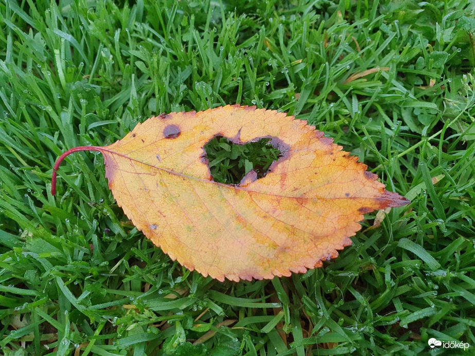 Jó reggelt hétfő & jó reggelt Magyarország