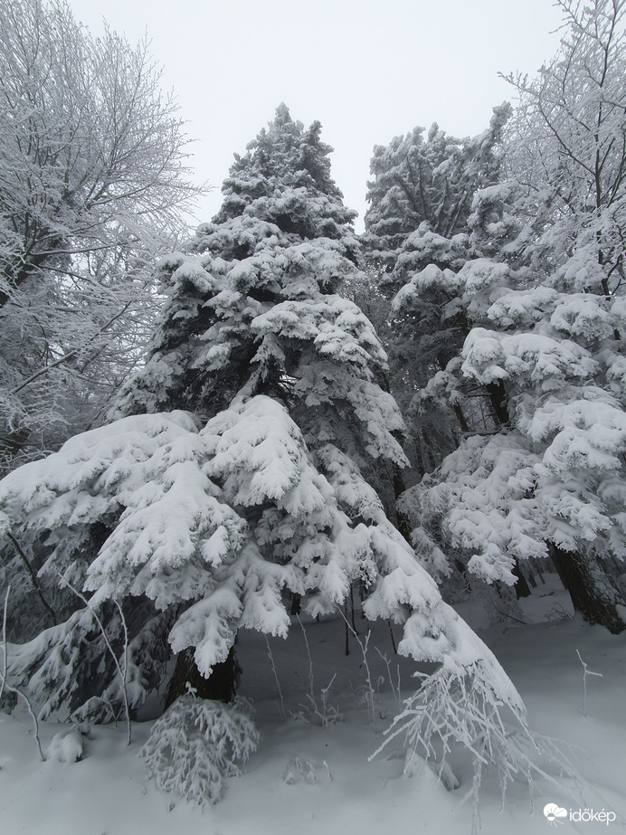 Maribor-Pohorje 12.03