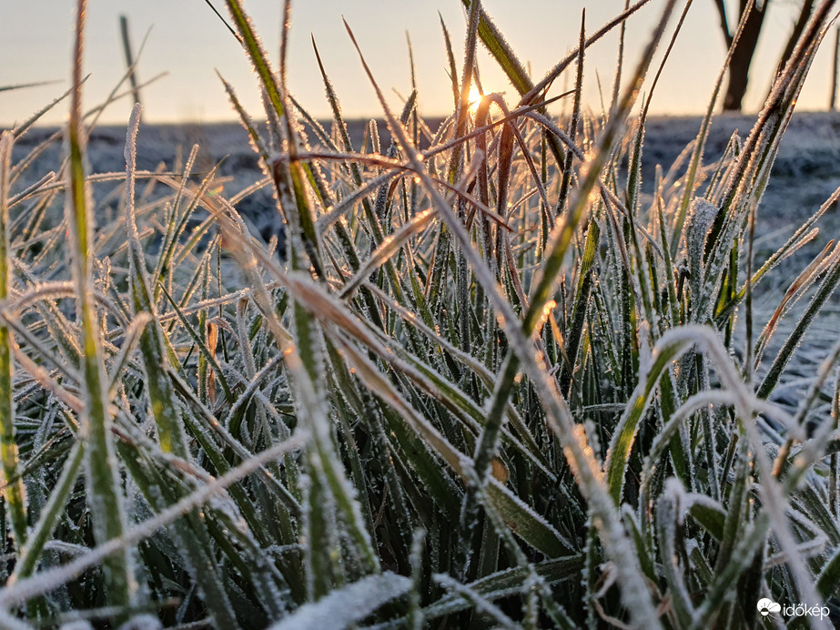 Ormándlak -10fok ❄️