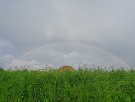 Szombati szivárvány 07.01.