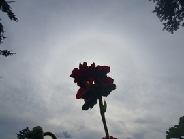 Halvány halo 07.05 