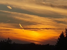 Helló hétfő...helló július