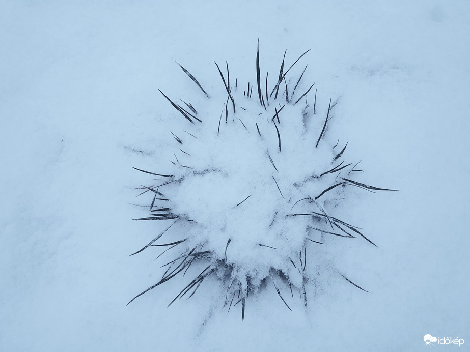 Reggeli "süni" ❄️