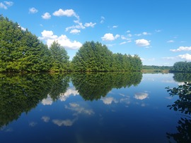 Barlahida